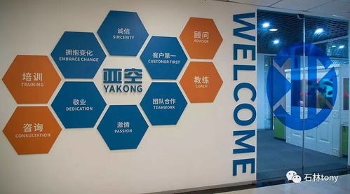 亚空电商 专业网络技术咨询服务，助力企业数字化转型